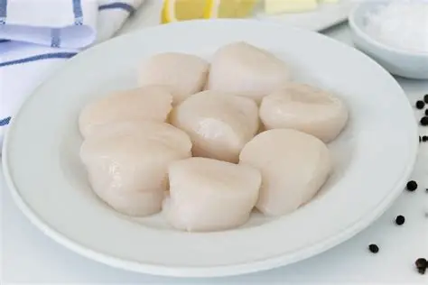 Scallops 10-20ct IQF (5lb)