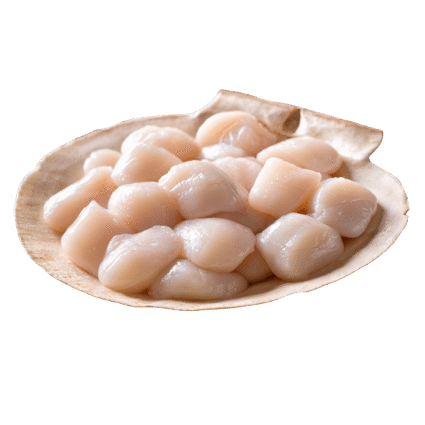Scallops 10-20ct IQF (5lb) - Image 2